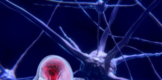 distrofia muscular de Duchenne, día mundial
