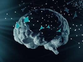 enfermedades neurodegenerativas, síntomas, tratamiento