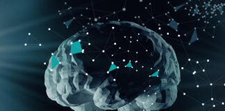 enfermedades neurodegenerativas, síntomas, tratamiento
