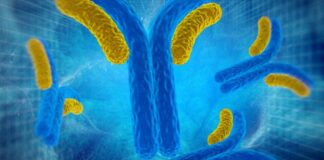 esclerodermia anticuerpos