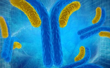 esclerodermia anticuerpos