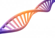 estructura, proteína, ADN