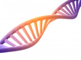 estructura, proteína, ADN