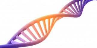 estructura, proteína, ADN