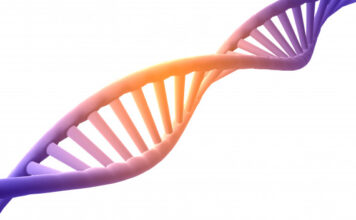 estructura, proteína, ADN