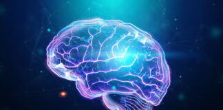 gen, síndrome de Rett, desarrollo neuronal masculino