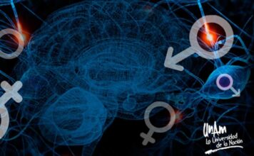 hormonas sexuales, glioblastoma, progesterona