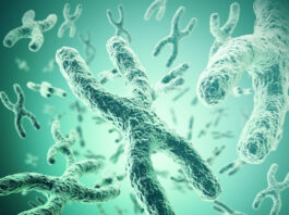 lenguaje, síndrome de deleción 22q11, niños, jóvenes