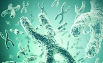 lenguaje, síndrome de deleción 22q11, niños, jóvenes