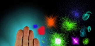 miastenia grave, anticuerpos, proteínas