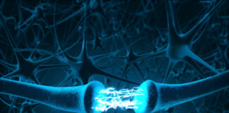 oligonucleotidos, encefalopatías espongiformes transmisibles