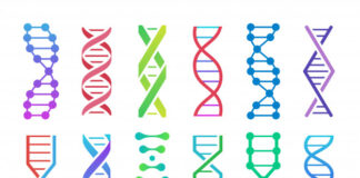 terapia génica, pacientes pediátricos, atrofia muscular espinal