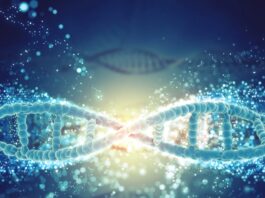 variación genética en la expresión de los genes