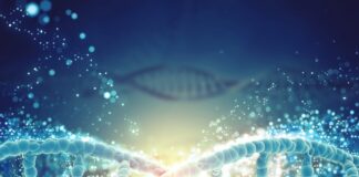 variación genética en la expresión de los genes