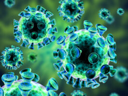 virus Epstein Barr, ADN, cáncer