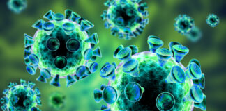 virus Epstein Barr, ADN, cáncer