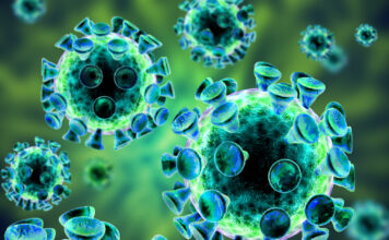 virus Epstein Barr, ADN, cáncer