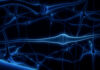Edasalonexent terapia oral, distrofia muscular de Duchenne
