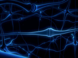 Edasalonexent terapia oral, distrofia muscular de Duchenne