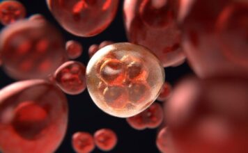FDA, tratamiento APR-548, síndromes mielodisplásicos