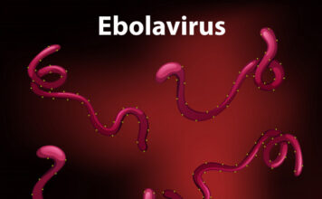 Inmazeb tratamiento, ébola, FDA