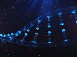 Intellia apunta a lo grande con la terapia CRISPR para curar ATTR