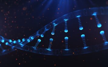 Intellia apunta a lo grande con la terapia CRISPR para curar ATTR