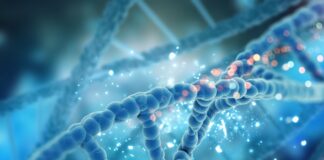 Nirogacestat, terapia investigación, mielo múltiple,