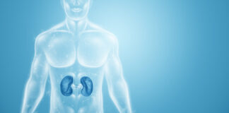 Novartis publica datos sobre Iptacopan, tratamiento para glomerulopatía C3