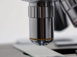 Vivet Therapeutics y Pfizer firman un acuerdo de fabricación para la terapia genética en investigación de Vivet para la enfermedad de Wilson