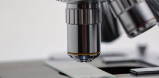 Vivet Therapeutics y Pfizer firman un acuerdo de fabricación para la terapia genética en investigación de Vivet para la enfermedad de Wilson