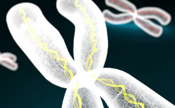 biofarmaceutica Mustang-Bio, fármaco huerfáno MB-207, inmunodeficiencia combinada grave ligada cromosoma X