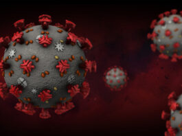 Coronavirus rojo. Photo 173370651 | Sarscov2 © Massimiliano Cardinali | Dreamstime.com