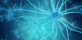 estrategia terapéutica, demencia frontotemporal, esclerosis lateral amiotrófica