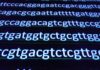 gen ATXN2 , enfermedades neurodegenerativas raras