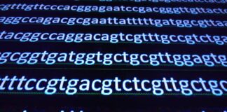 gen ATXN2 , enfermedades neurodegenerativas raras