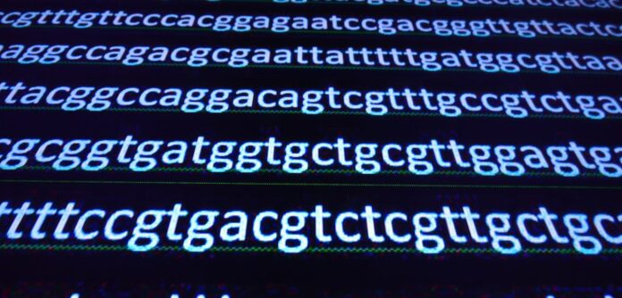 gen ATXN2 , enfermedades neurodegenerativas raras