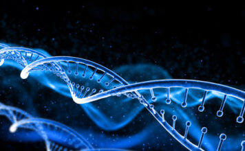 nuevos genes afiliados a la enfermedad de Charcot Marie Tooth