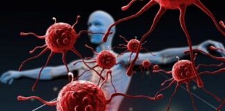 inhibición proteínas TLK, sistema inmune innato, cáncer