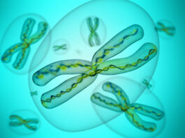 terapia medicina de precisión, distrofia muscular de Duchenne