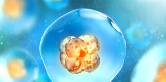 CRISPR, modificación genética embriones humanos, fines terapéuticos