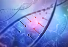 Interferencia ARN, tratamiento enfermedades raras