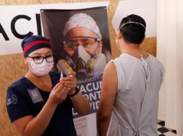 Novavax, Curevac, farmacéuticas, pruebas clínicas en México