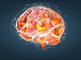 NurOwn, esclerosis lateral amiotrófica
