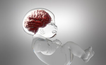 estudio desengrana las complejidades tumores cerebrales pediátricos agresivos