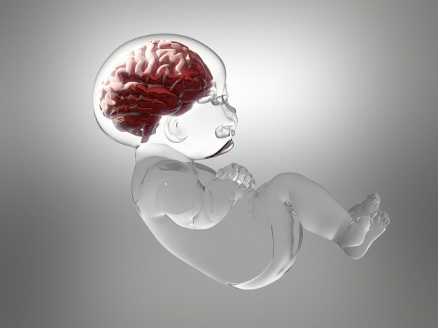 estudio desengrana las complejidades tumores cerebrales pediátricos agresivos