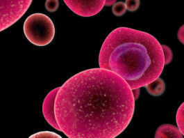 fármacos,tratamiento, linfoma folicular