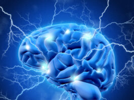 ARNs no codificantes, estrés oxidativo, enfermedades neurodegenerativas