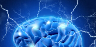 ARNs no codificantes, estrés oxidativo, enfermedades neurodegenerativas