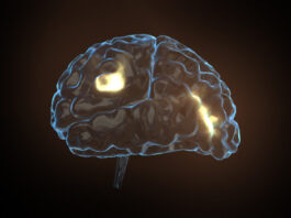 FDA otorga designación enfermedad pediátrica rara WP1066